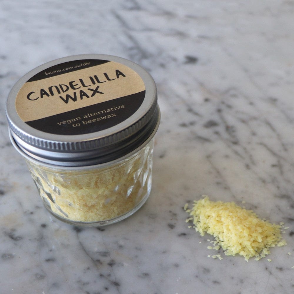 Candelilla Wax: Uncovering the beauty and blemishes behind wild-sourced  ingredients - Wildlife Trade News from TRAFFIC