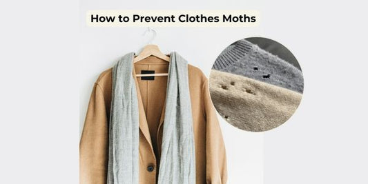 How To Get Rid Of And Prevent Clothes Moths