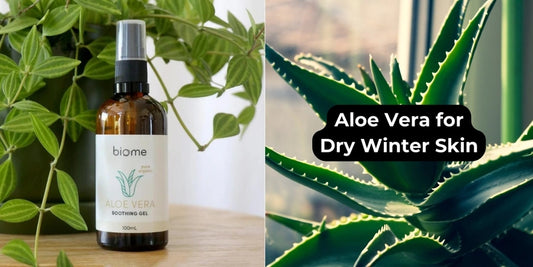 Is Aloe Vera Good For Dry Skin in Winter?