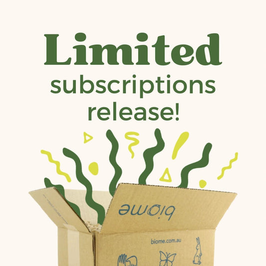 4 x Biome Box Subscription - Starts AUTUMN 24: palm oil free, vegan lifestyle box