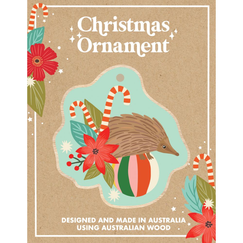 Aero Images Single Decoration - Christmas Echidna