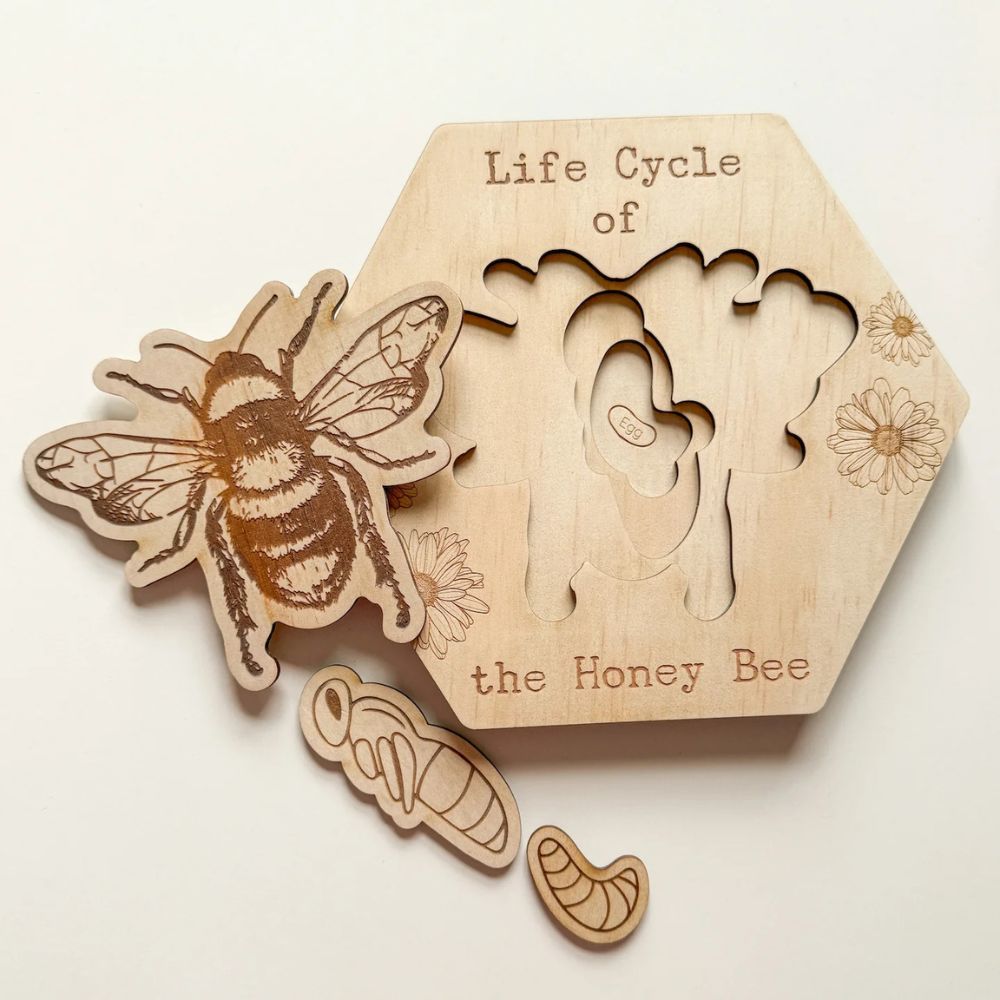 Bandicute Wooden Bee Life Cycle Puzzle