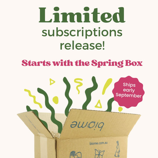 4 x Biome Box Subscription - Starts SPRING 24: palm oil free, vegan lifestyle box