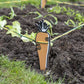 Burgon & Ball Growing Gardeners Vegetable Garden Set