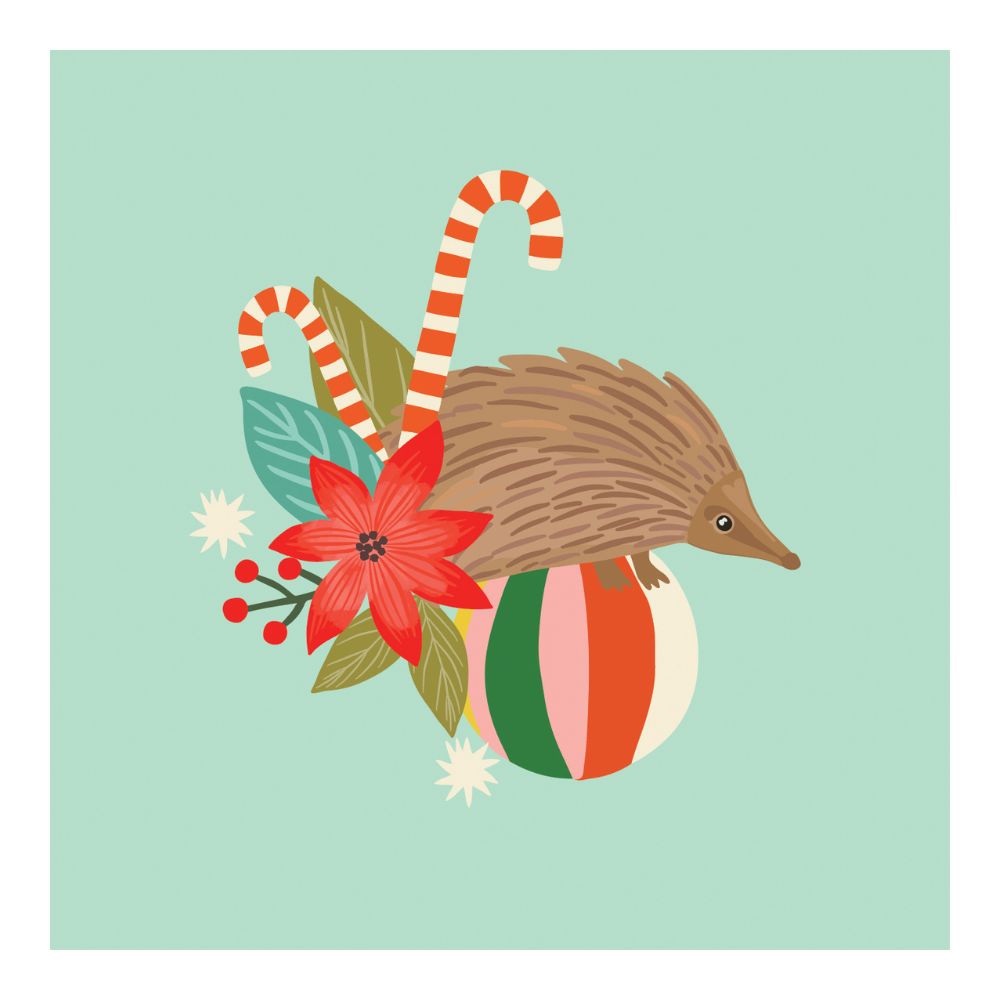 Aero Images Gift Card - Christmas Echidna