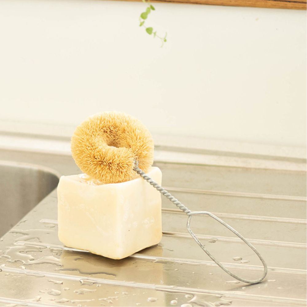 EcoMax ZerO Dish Brush