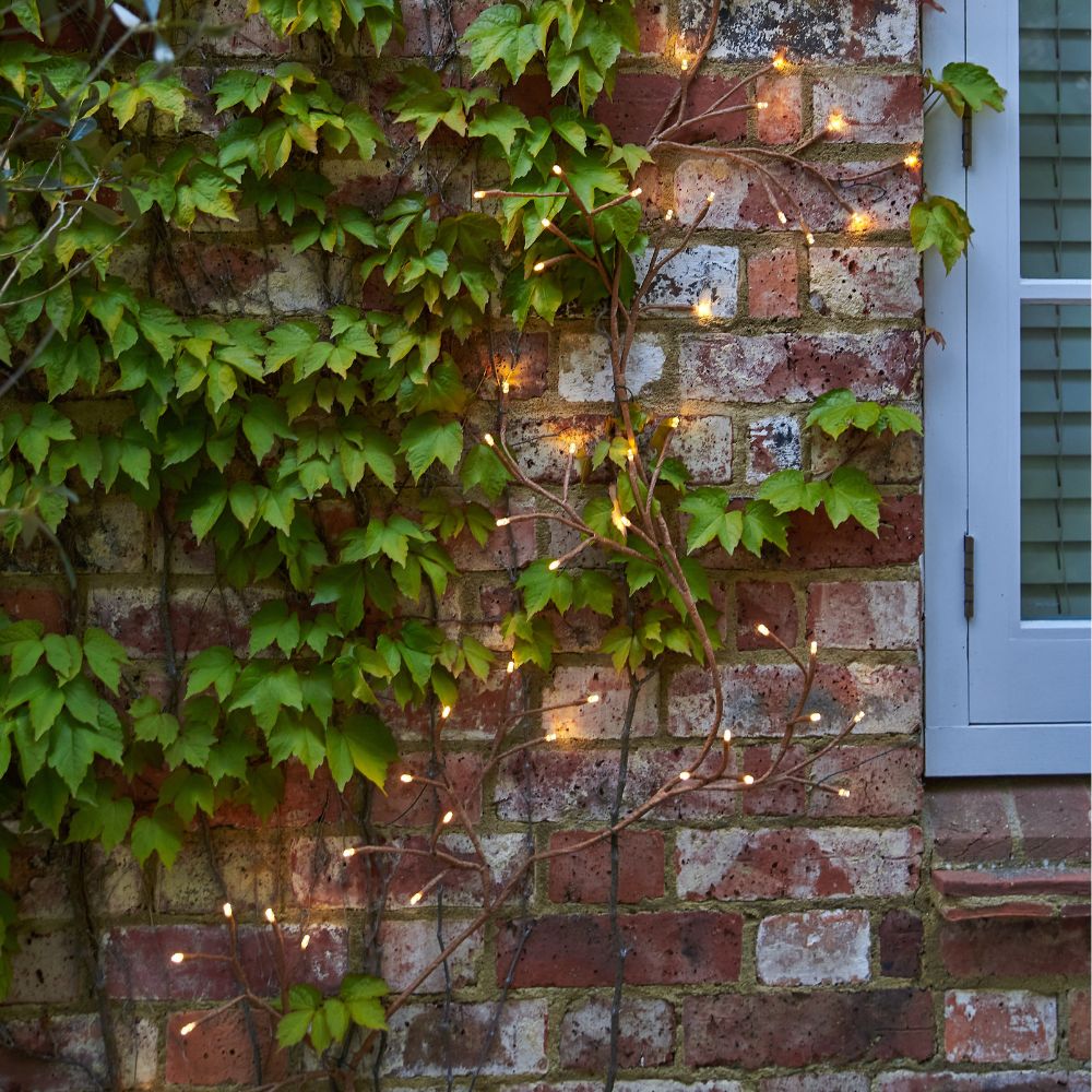 Lumina Solar Ivy Lights - Brown