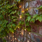 Lumina Solar Ivy Lights - Brown