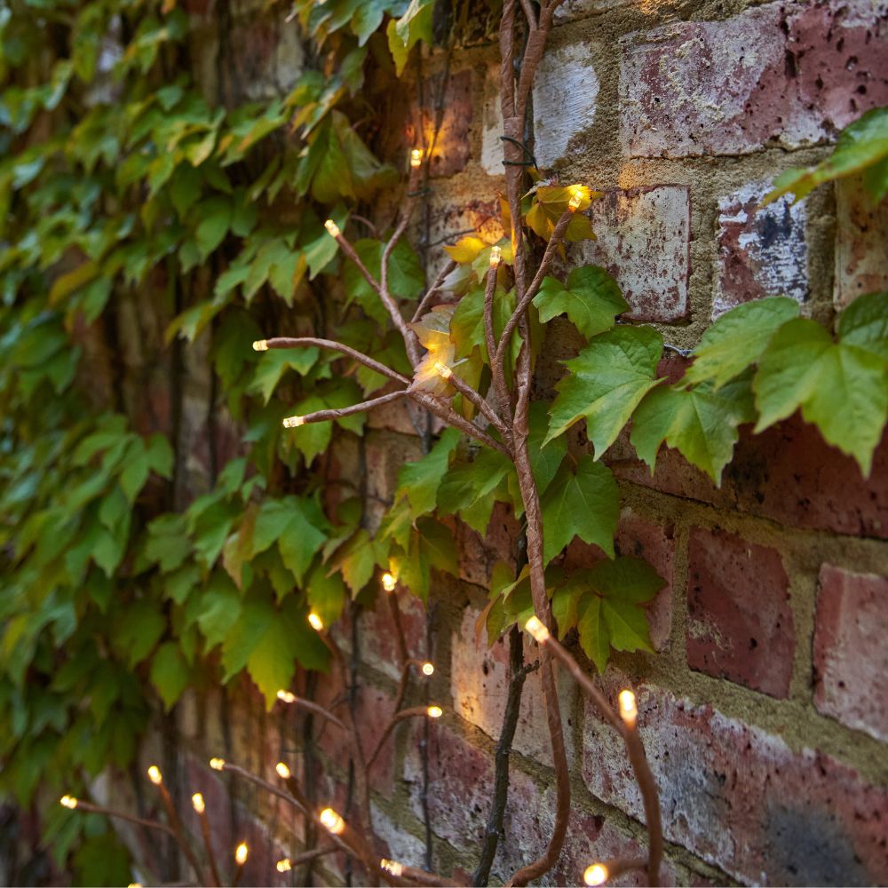 Lumina Solar Ivy Lights - Brown