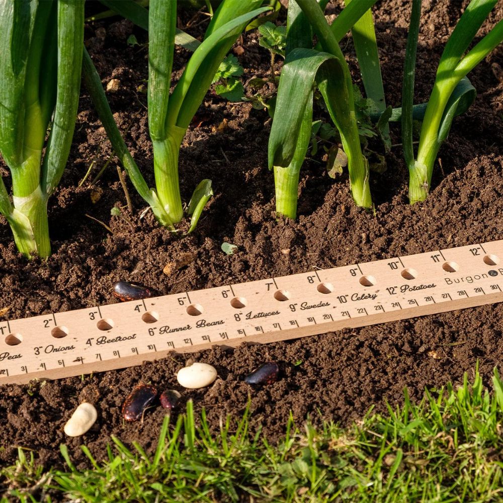 Burgon & Ball Planting Ruler