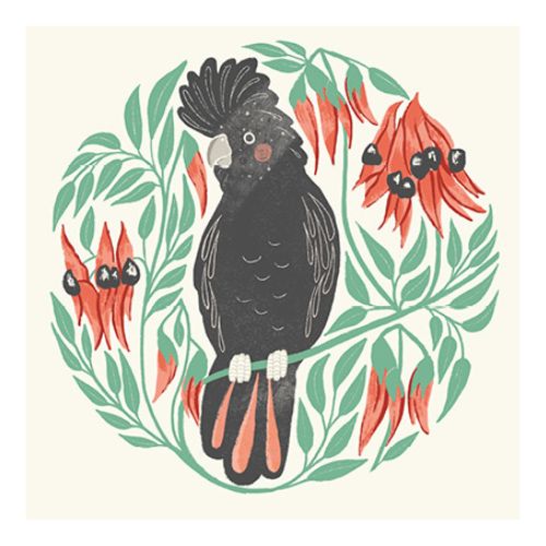 Aero Small Gift Card - Black Cockatoo