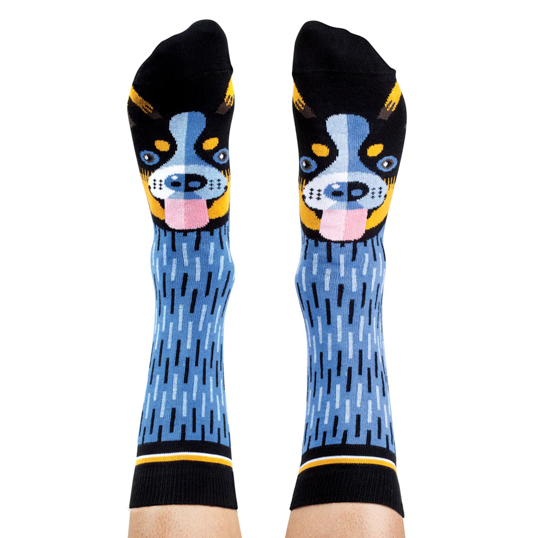 Wilson Payne Blue Heeler Socks