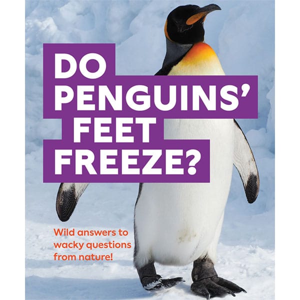 Do Penguins' Feet Freeze?