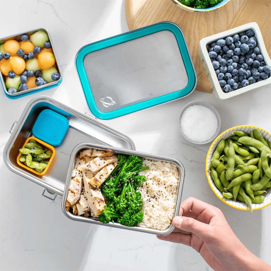 Buy Planetbox Explorer Leakproof Stainless Steel Lunchbox – Biome US Online
