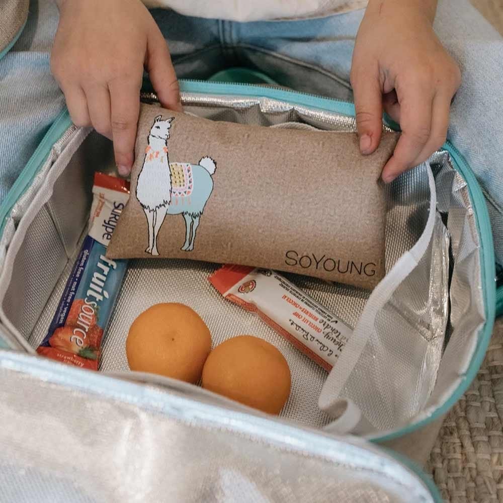 SoYoung No-Sweat Ice Pack for Lunch Boxes