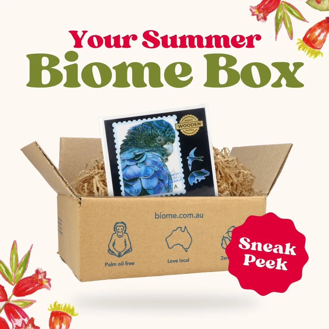 Biome Box: SUMMER 24 - Australia's only palm oil free, vegan lifestyle box