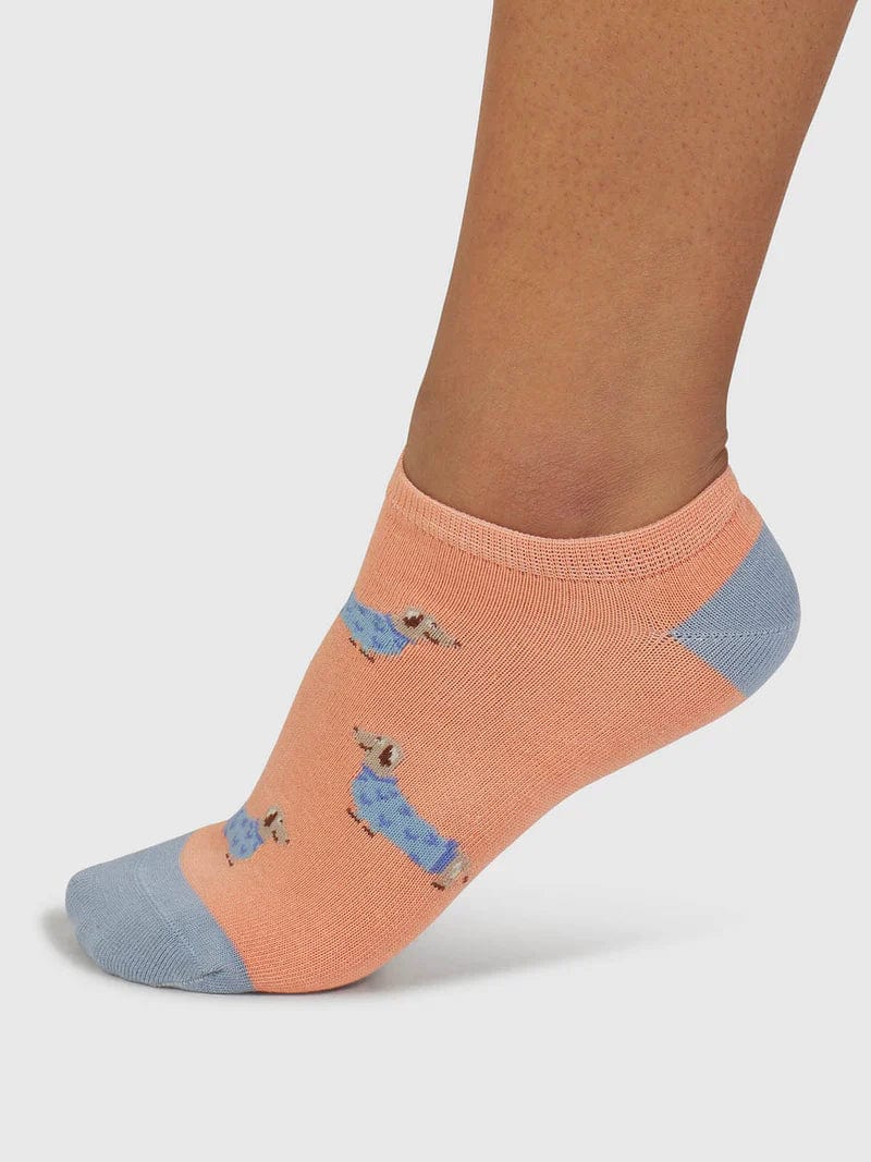 Thought Freda Dachshund Organic Cotton Trainer Socks 4-7