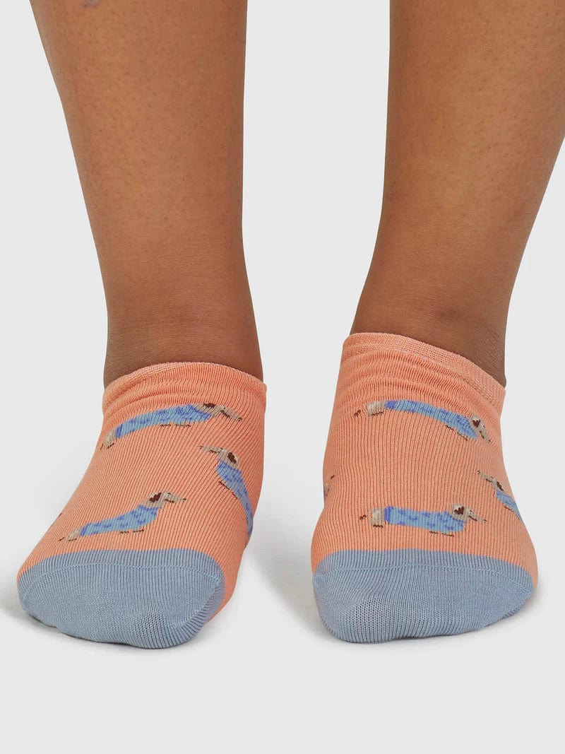 Thought Freda Dachshund Organic Cotton Trainer Socks 4-7