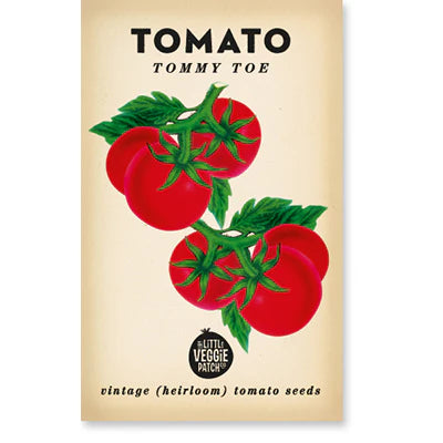 Little Veggie Patch Heirloom Seeds - Tomato Tommy Toe