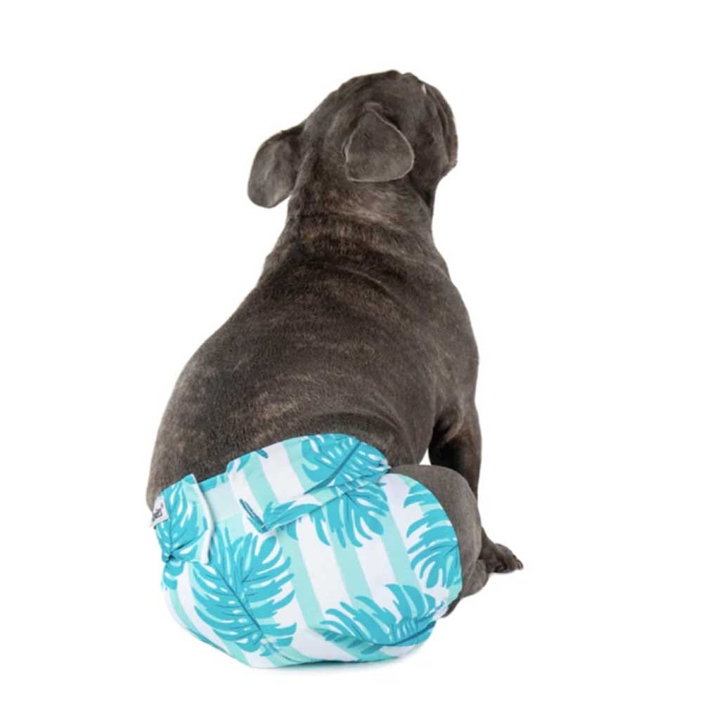 Dundies All in One Pet Nappy - Bora Bora