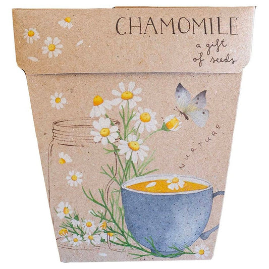 Sow 'n Sow Gift of Seeds Greeting Card - Chamomile