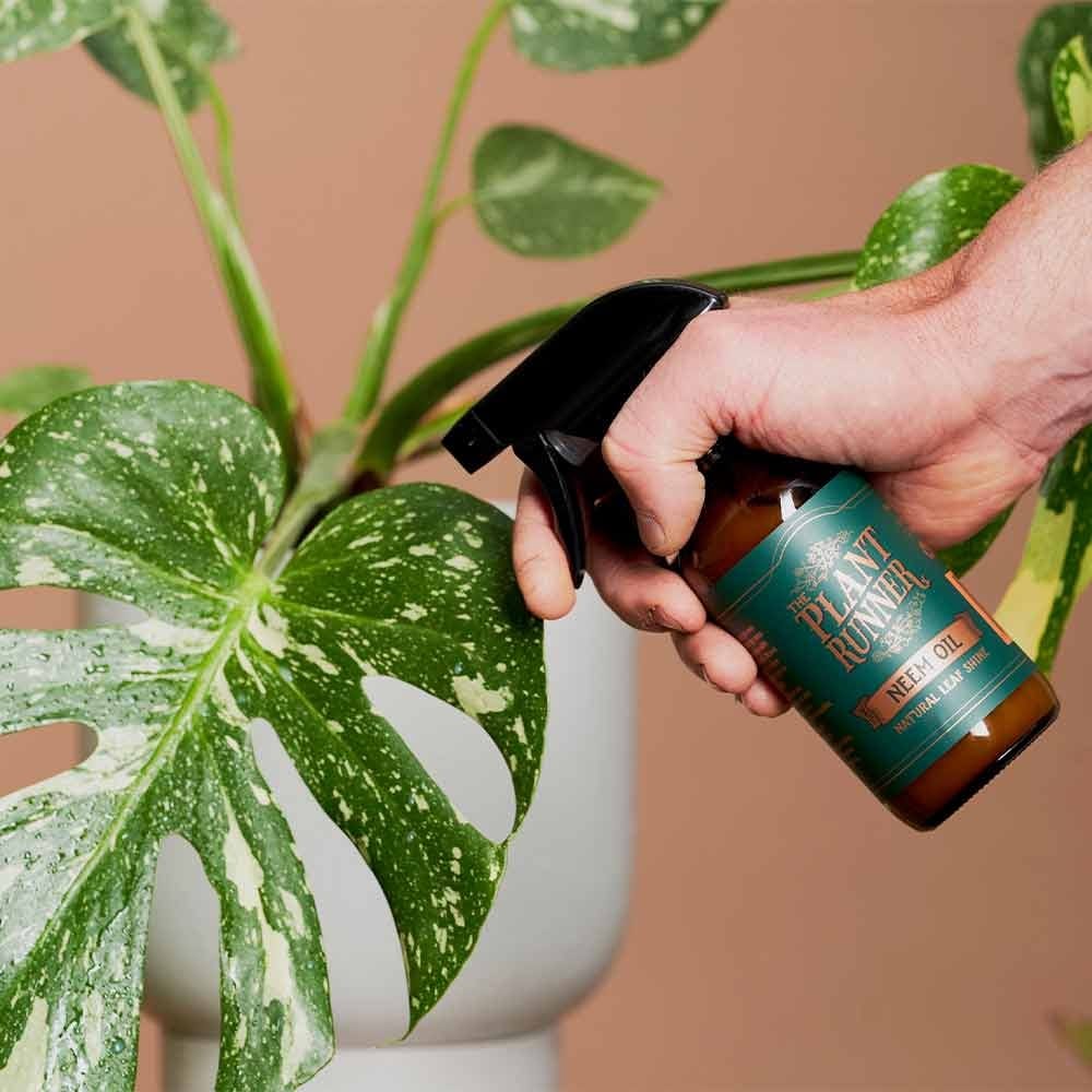 The Plant Runner Neem Oil Natural Leaf Shine 250ml